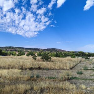 La parcela de Vega Baja que comparten EMSV y Junta: posible permuta, controversia contable y un verano sin desbrozar
