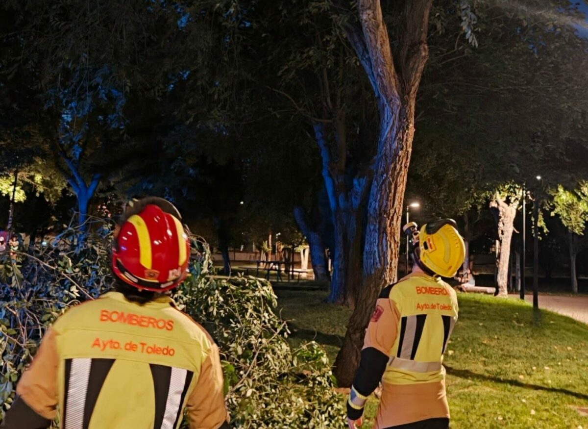 Se cae una rama en una zona infantil del parque de las Tres Culturas sin causar heridos