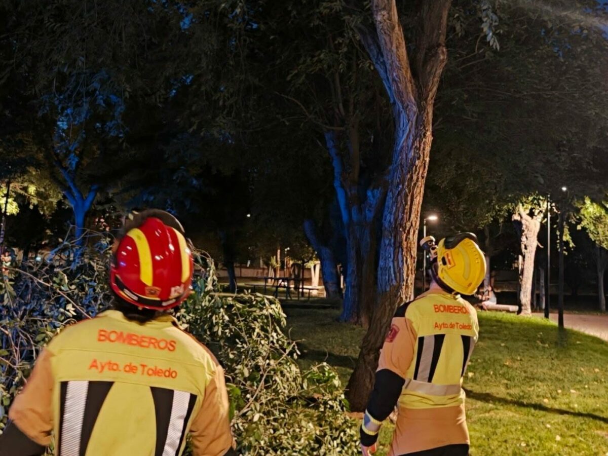 Se cae una rama en una zona infantil del parque de las Tres Culturas sin causar heridos