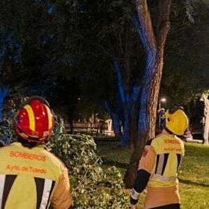 Se cae una rama en una zona infantil del parque de las Tres Culturas de Toledo sin causar heridos