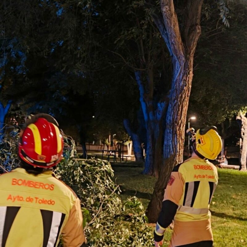 Se cae una rama en una zona infantil del parque de las Tres Culturas sin causar heridos