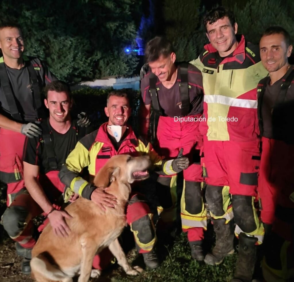 Rescatan a una perra atrapada en una cavidad en Portillo de Toledo tras cinco horas de intervención