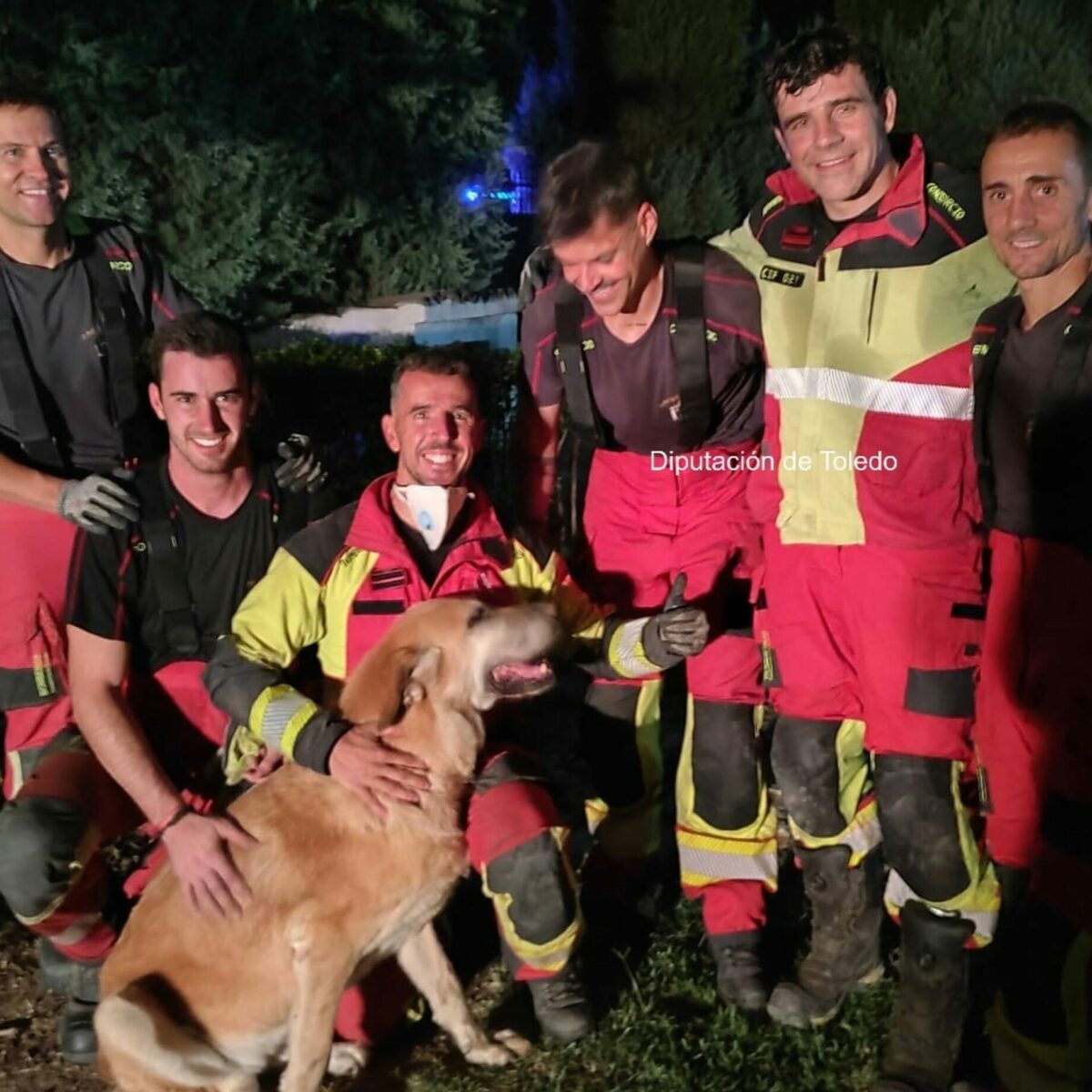 Rescatan a una perra atrapada en una cavidad en Portillo de Toledo tras cinco horas de intervención