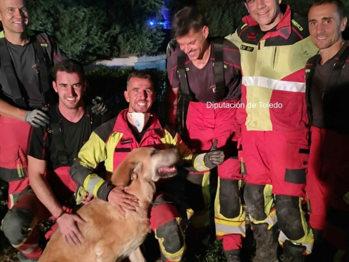 Rescatan a una perra atrapada en una cavidad en Portillo de Toledo tras cinco horas de intervención