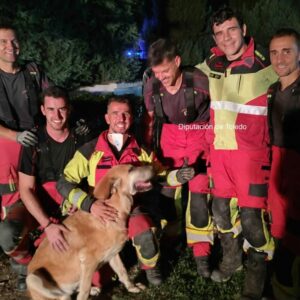 Rescatan a una perra atrapada en una cavidad en Portillo de Toledo tras cinco horas de intervención