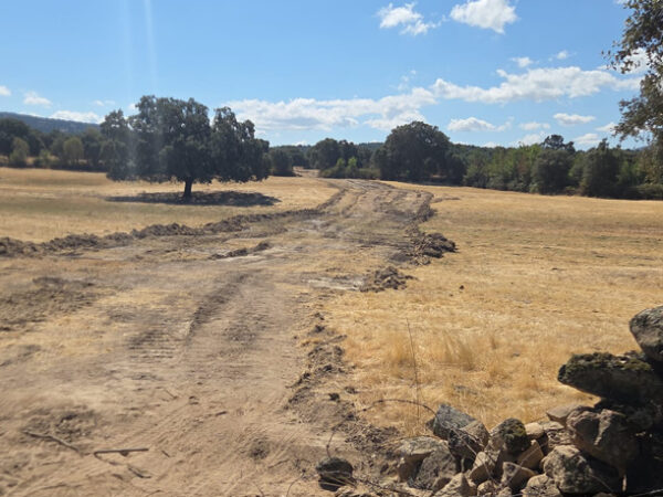 Asaja reclama ayudas "rápidas y suficientes" para agricultores y ganaderos de Toledo afectados por los incendios