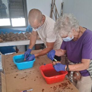 El puzzle de 4.000 fragmentos que puede devolver nombre a las víctimas del franquismo en Madridejos