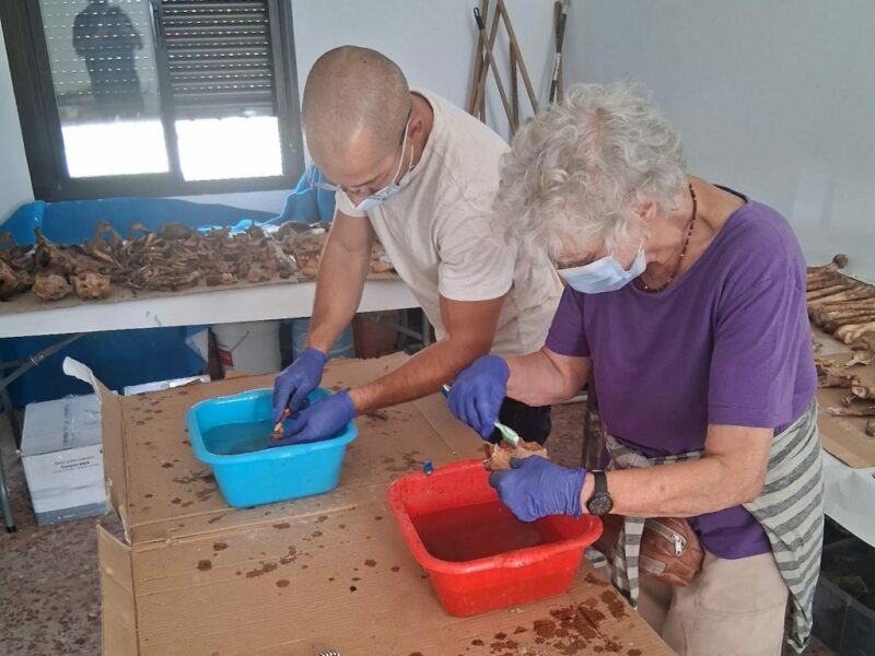 El puzzle de 4.000 fragmentos que puede devolver nombre a las víctimas del franquismo en Madridejos