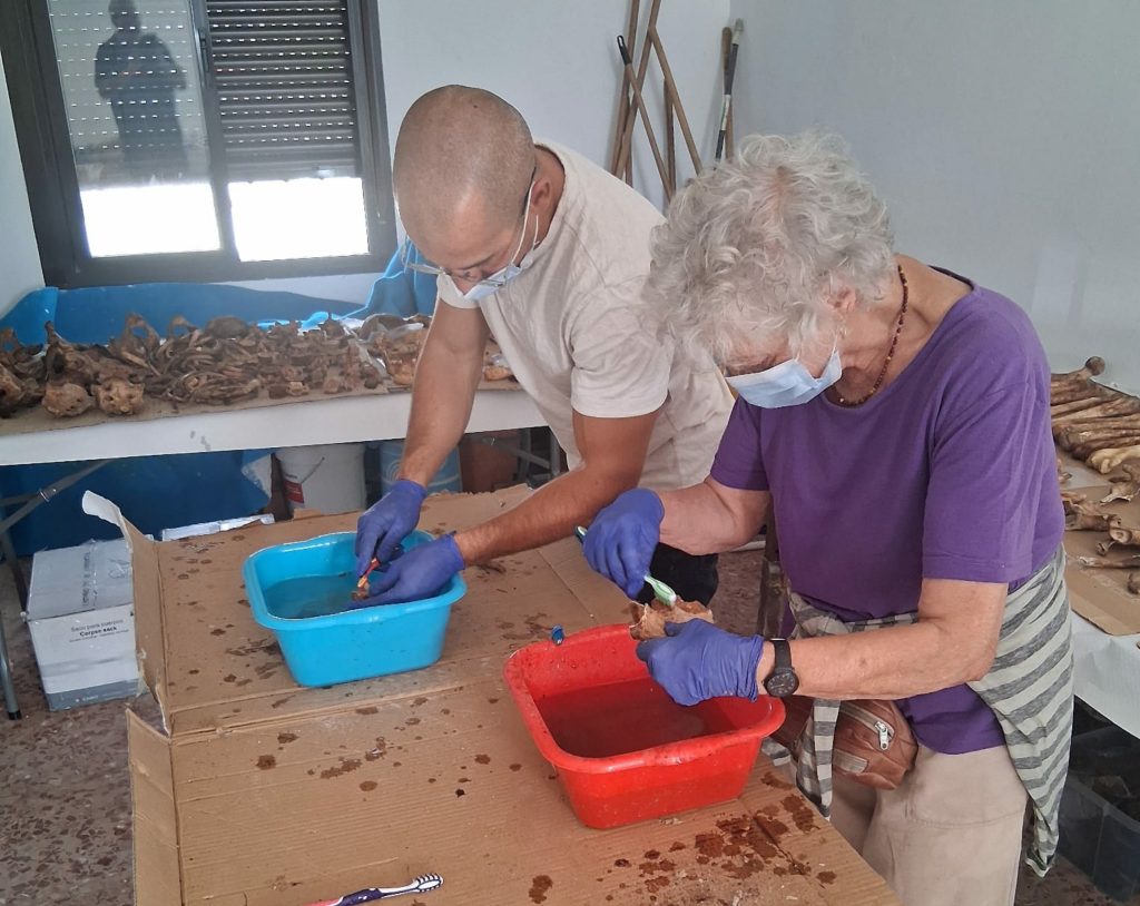 El puzzle de 4.000 fragmentos que puede devolver nombre a las víctimas del franquismo en Madridejos
