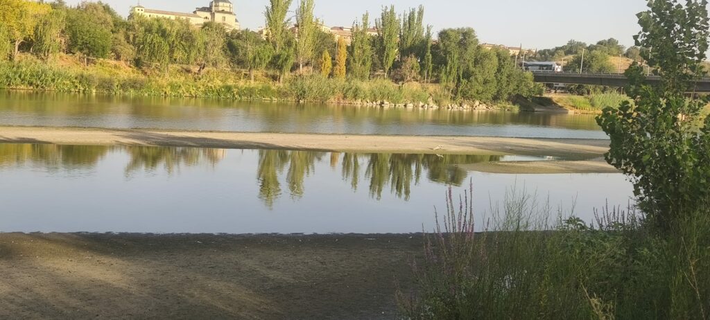El caudal del río Tajo en Toledo cae de nuevo por debajo del mínimo ecológico