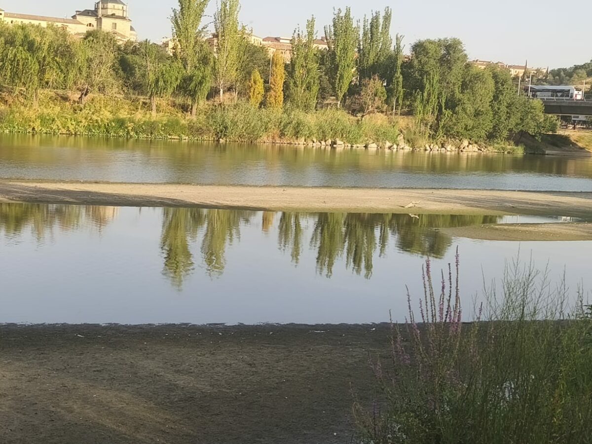 El caudal del río Tajo en Toledo cae de nuevo por debajo del mínimo ecológico