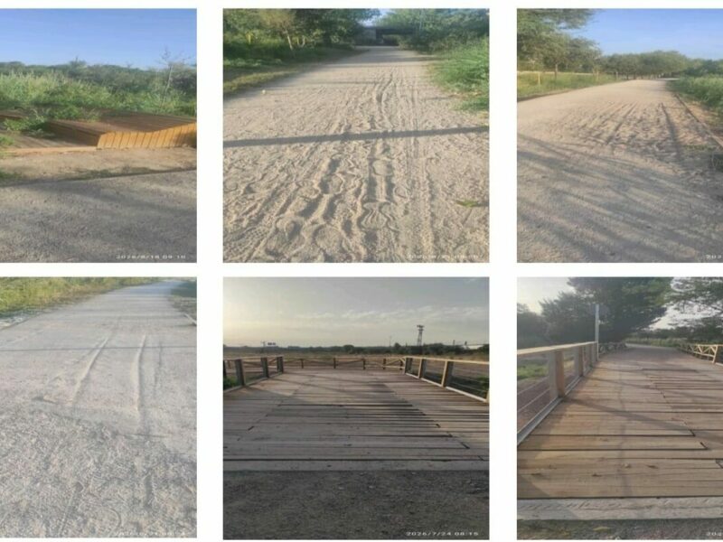 La Asociación Vecinal Alcántara exige revisar "las deficiencias" de la actuación en la ribera este del río Tajo