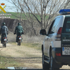 Suspendida 24 horas después la búsqueda de un supuesto león en la Sierra de San Vicente sin hallar ningún indicio