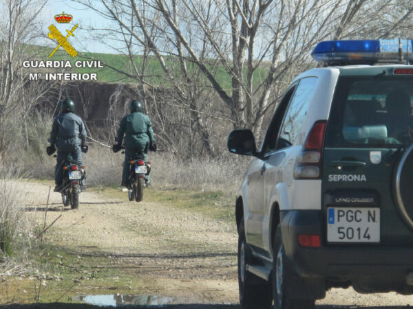Suspendida 24 horas después la búsqueda de un supuesto león en la Sierra de San Vicente sin hallar ningún indicio