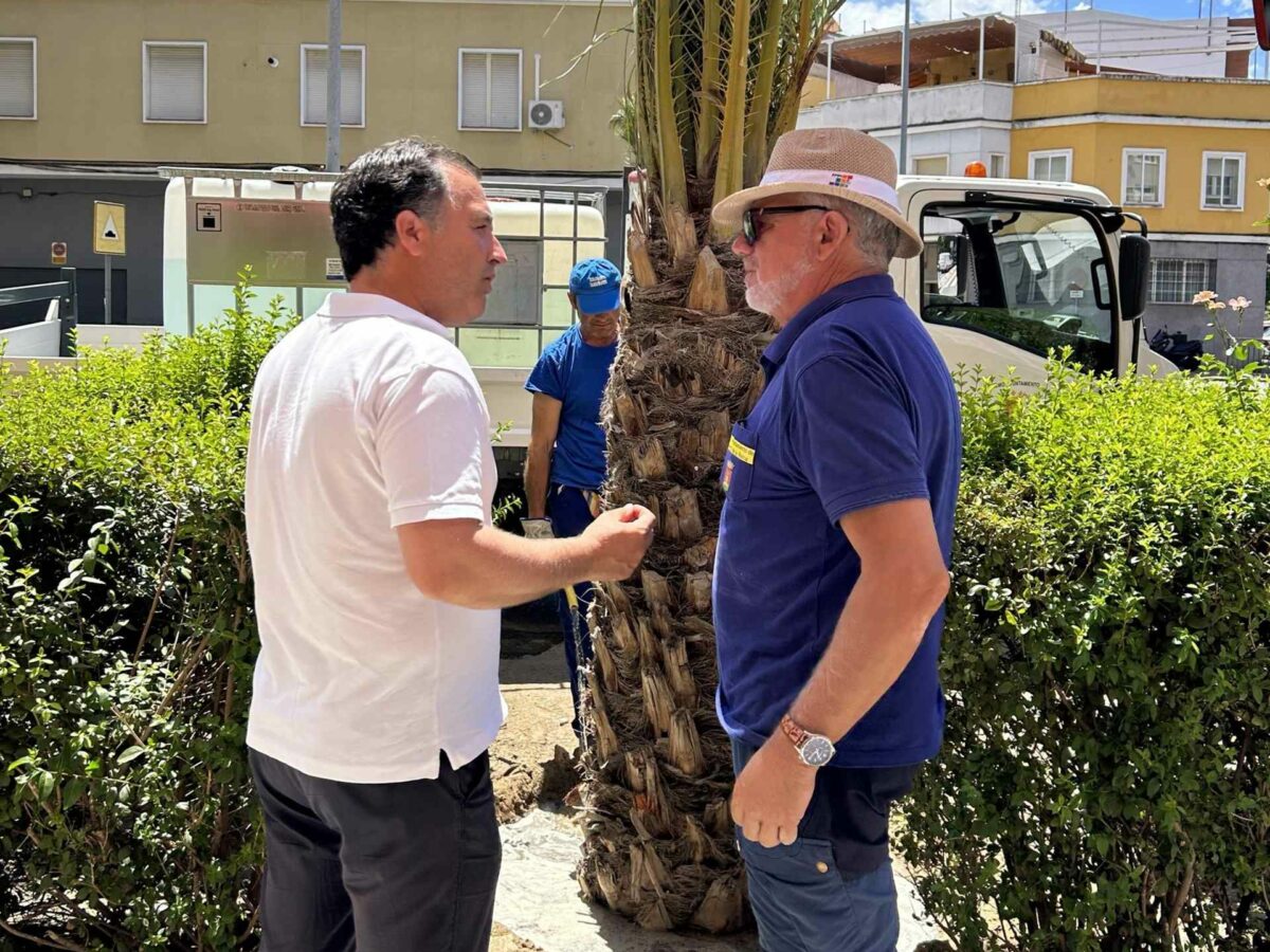 Talavera inicia la plantación 26 nuevas palmeras para "recuperar ese gran patrimonio" de la ciudad