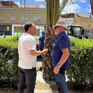 Talavera inicia la plantación 26 nuevas palmeras para "recuperar ese gran patrimonio" de la ciudad