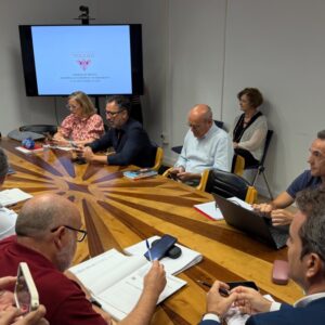 Toledo avalará en Pleno la ampliación del Polígono industrial y el PAU Palacio por la modificación de la ley ambiental de la Junta