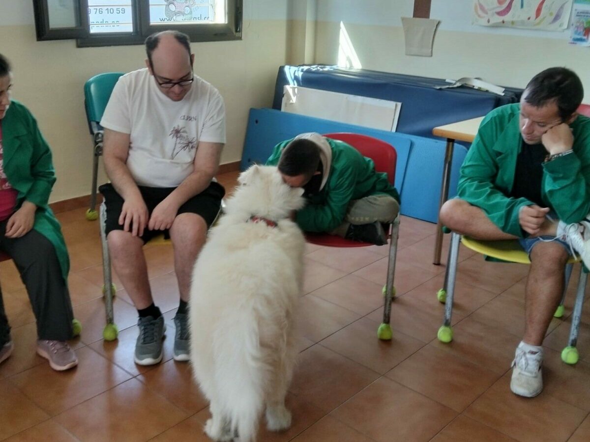 El Centro Ocupacional de Villacañas incorpora la terapia con perros para fomentar la autonomía y la inclusión