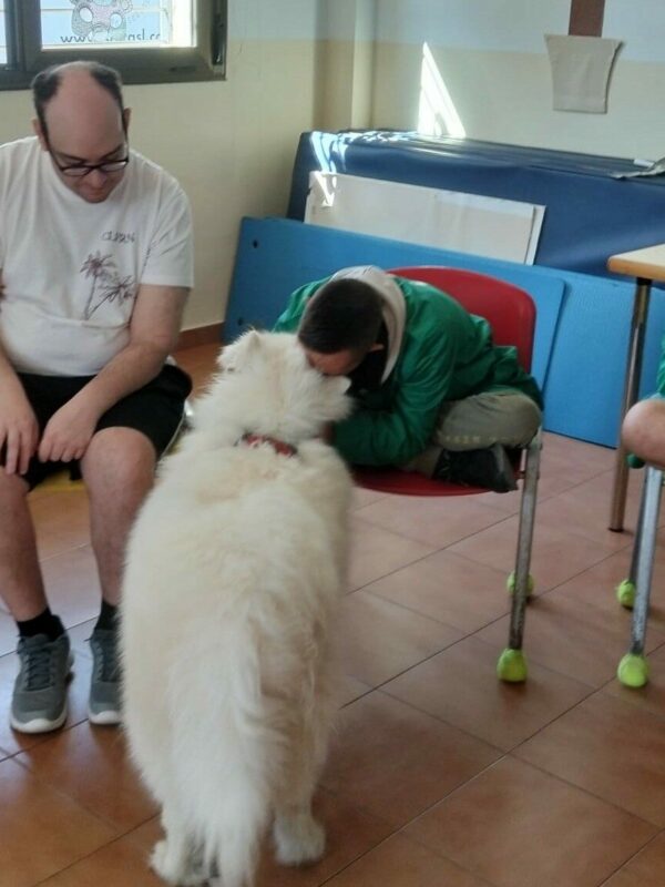 El Centro Ocupacional de Villacañas incorpora la terapia con perros para fomentar la autonomía y la inclusión