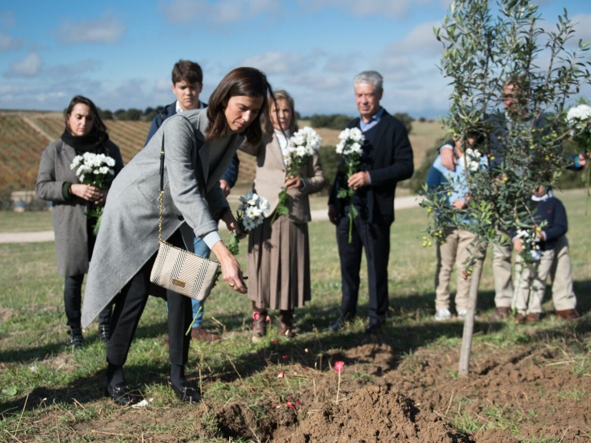 Un árbol en lugar de un cementerio: el bosque funerario de Méntrida duplica sus ceremonias