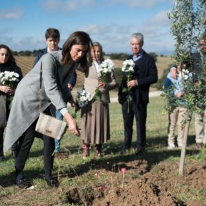 Un árbol en lugar de un cementerio: el bosque funerario de Méntrida duplica sus ceremonias