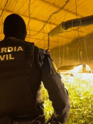 Once detenidos en Alcaudete de la Jara por tráfico de drogas y robos con fuerza
