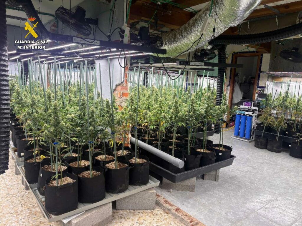 La Guardia Civil detiene a 15 personas tras desmantelar dos plantaciones de marihuana en Toledo