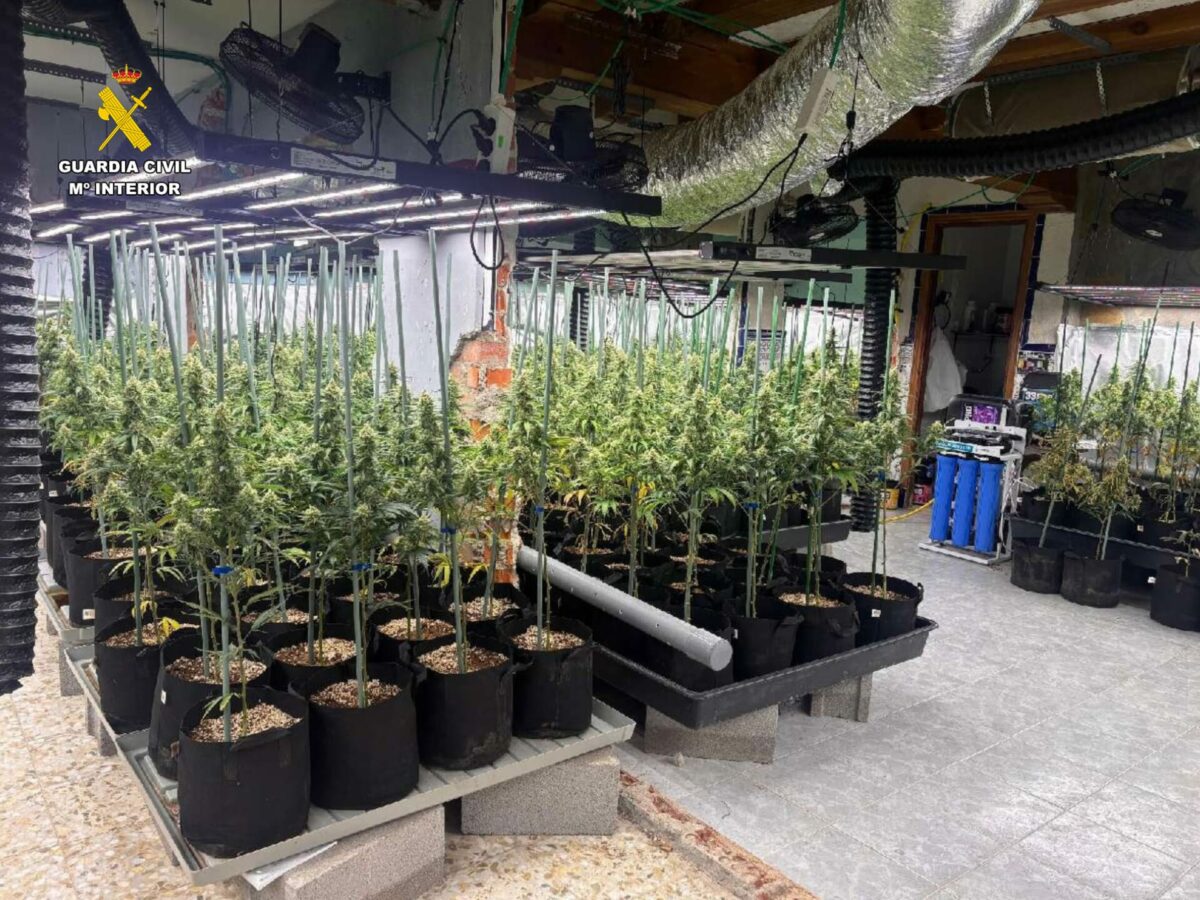 La Guardia Civil detiene a 15 personas tras desmantelar dos plantaciones de marihuana en Toledo