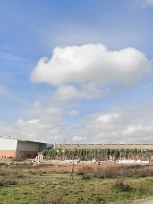 La cercanía a viviendas y al colegio exige la evaluación ambiental de una planta de harinas para pienso en Cobejas